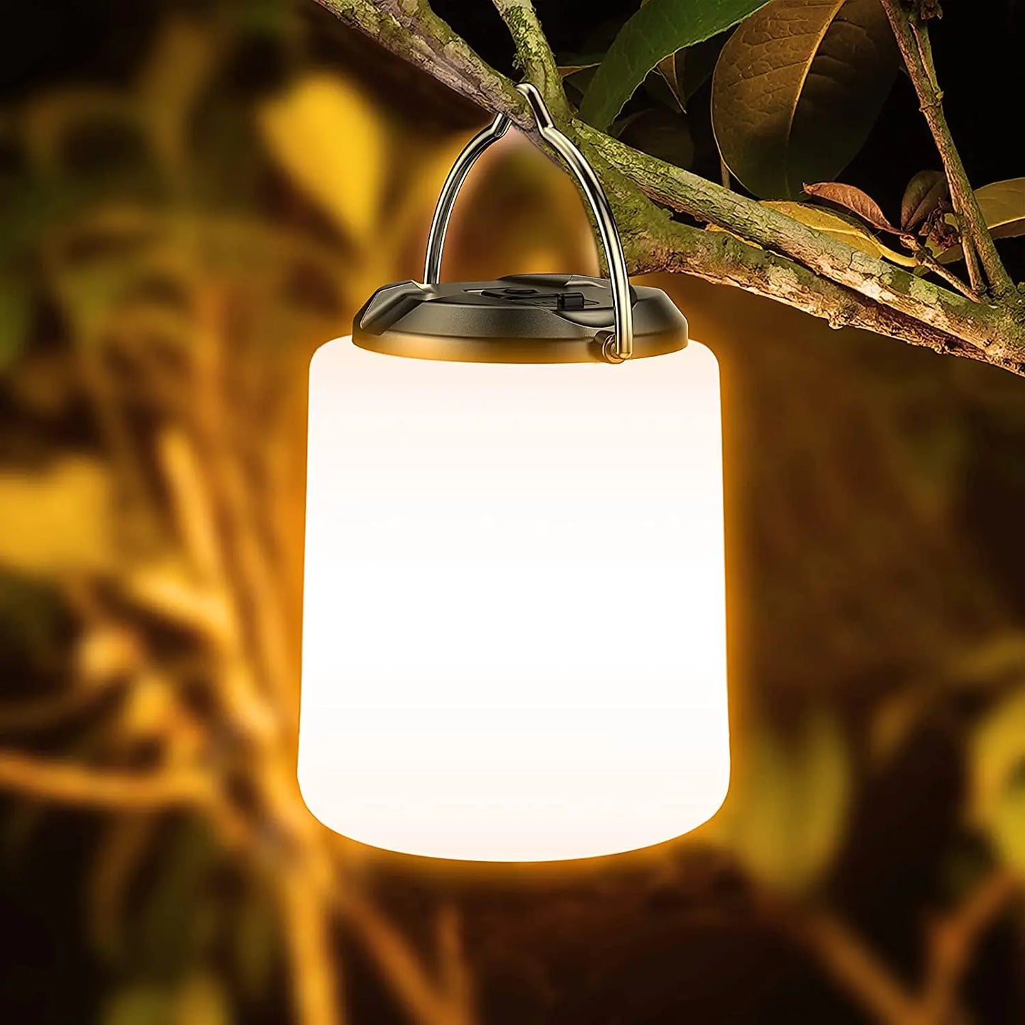 Versatile USB Camping Lantern – 2600 mAh Rechargeable Power in Jar & Globe Shapes